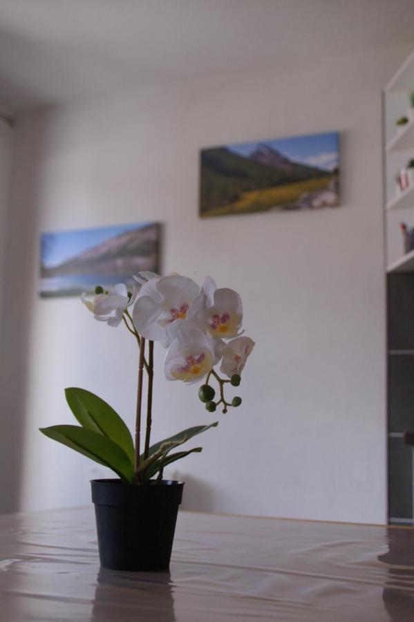 Ferienwohnung Le Guisanel Briançon Exterior foto